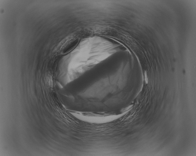 X0000068811155200605261518