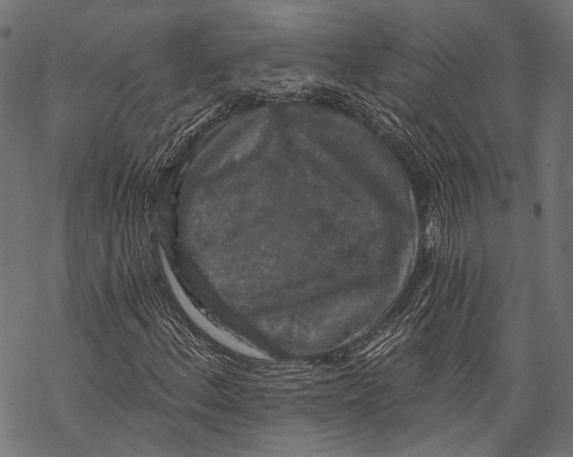 X0000068811156200605261518