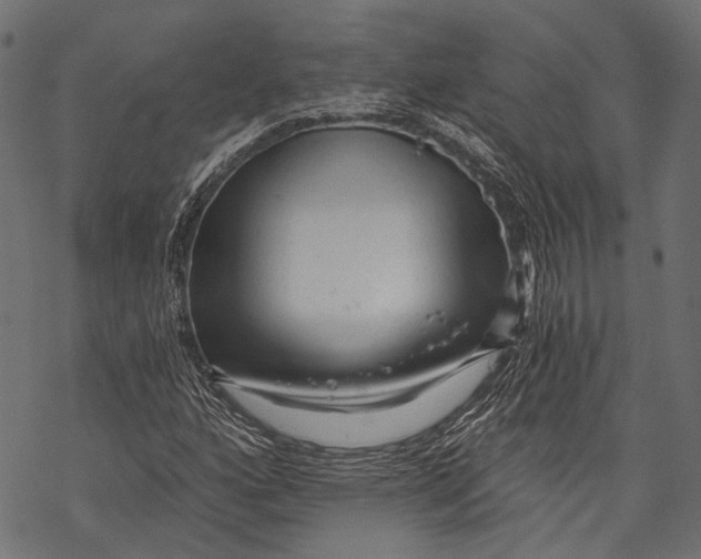 X0000068811160200605261518