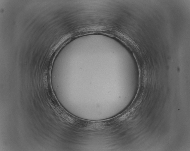 X0000068811162200605261518