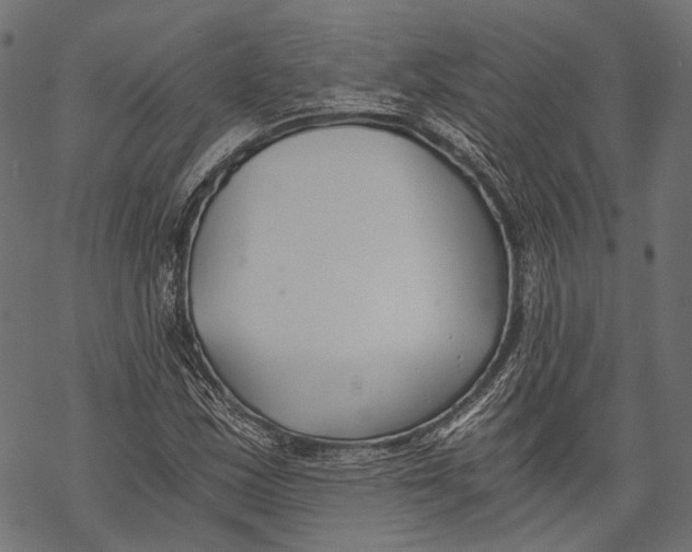 X0000068811163200605261518