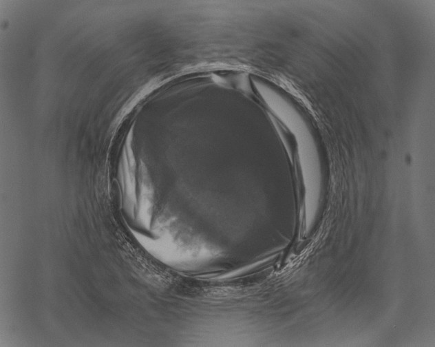 X0000068811173200605261518