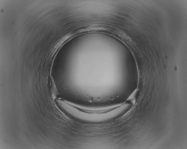 X0000068811177200605261518