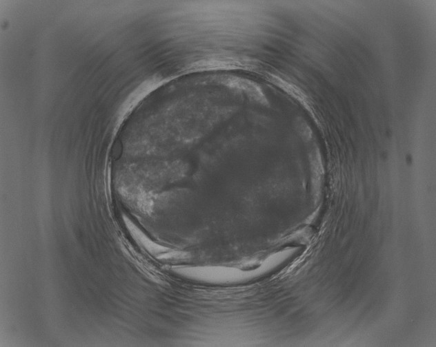 X0000068811179200605261518