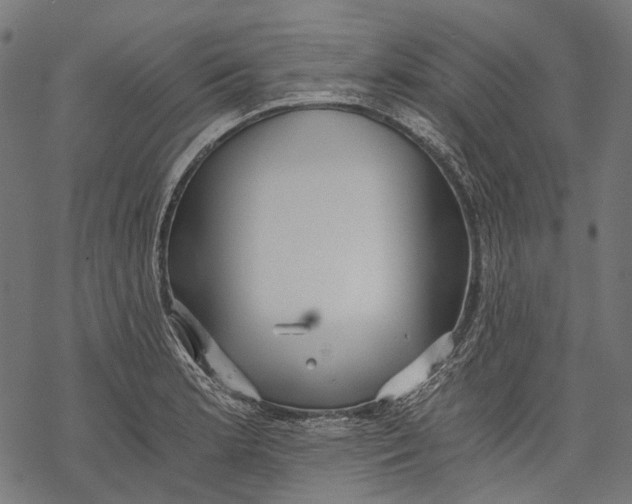 X0000068811181200605261518