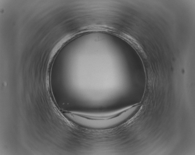 X0000068811188200605261518