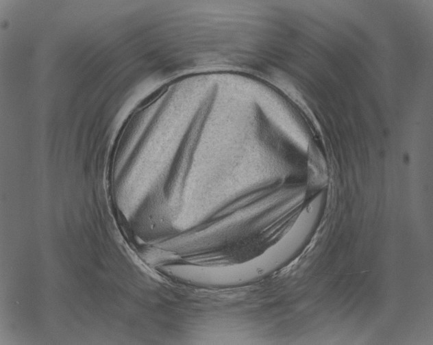 X0000068811197200605261518