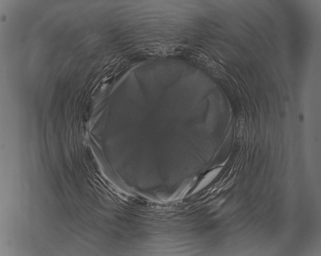 X0000068811202200605261517