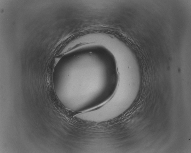 X0000068811206200605261517