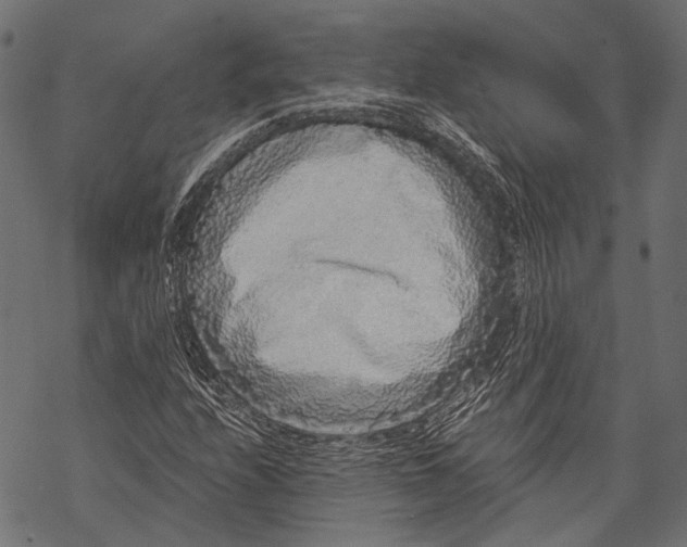 X0000068811208200605261517