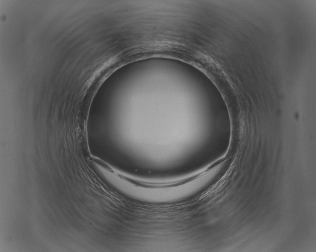 X0000068811210200605261517