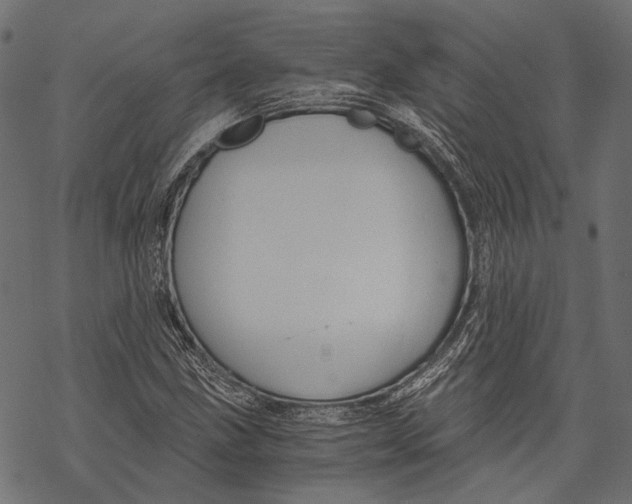X0000068811211200605261517