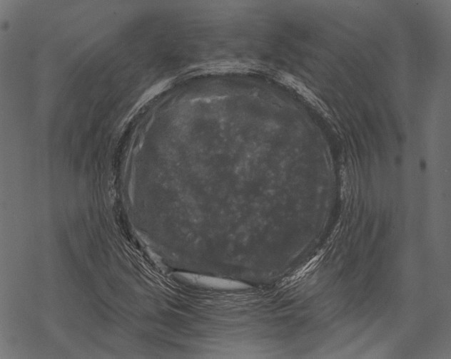 X0000068811213200605261517