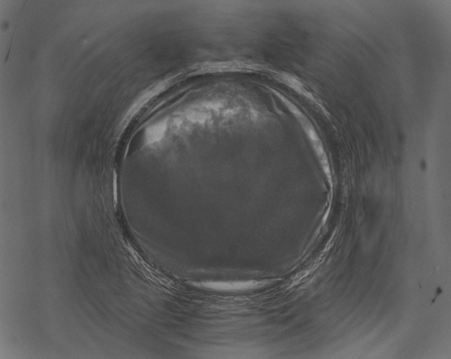 X0000068811221200605261517