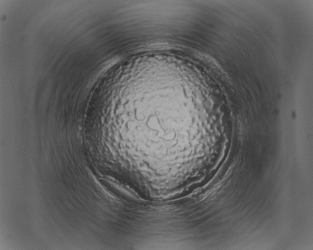 X0000068811225200605261517