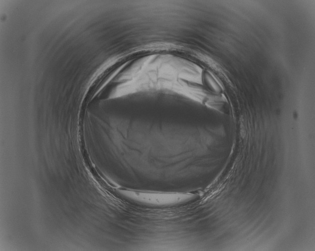 X0000068811229200605261517