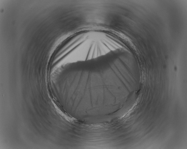 X0000068811231200605261517