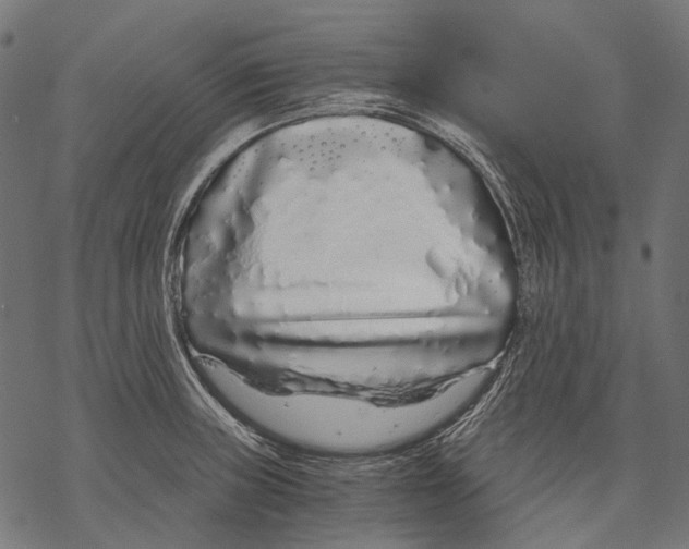 X0000068811235200605261517