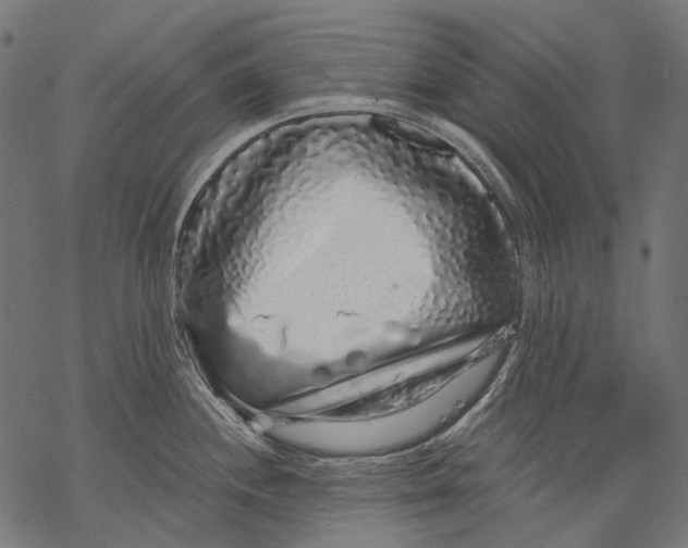 X0000068811244200605261518