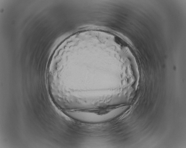 X0000068811247200605261518