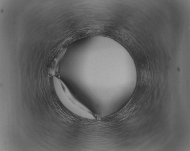 X0000068811250200605261517