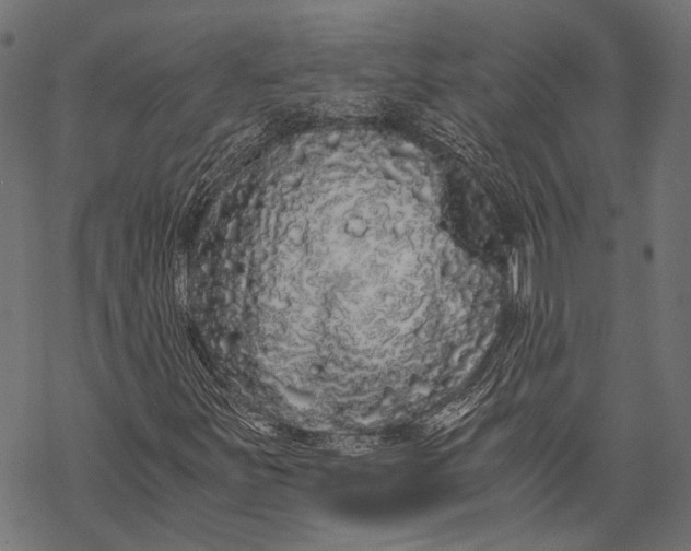X0000068811251200605261517