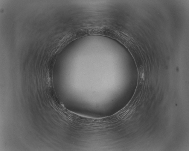 X0000068811252200605261517