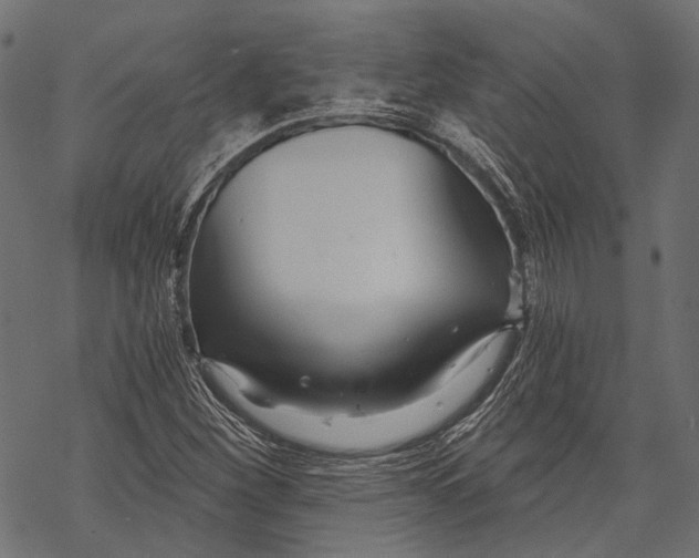 X0000068811260200605261517