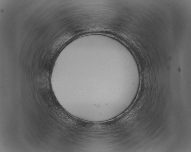 X0000068811265200605261517