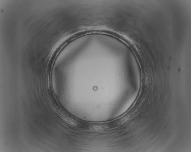 X0000068811271200605261516