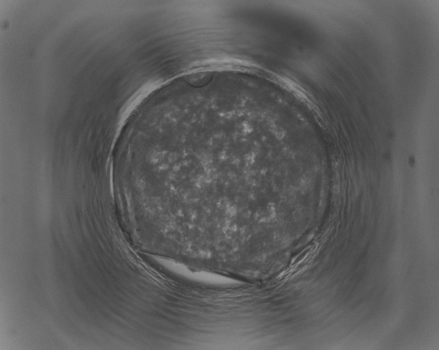 X0000068811275200605261516
