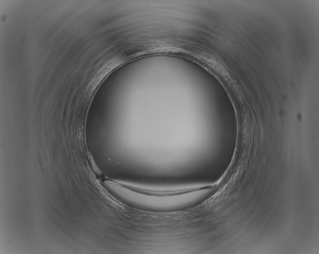 X0000068811281200605261516