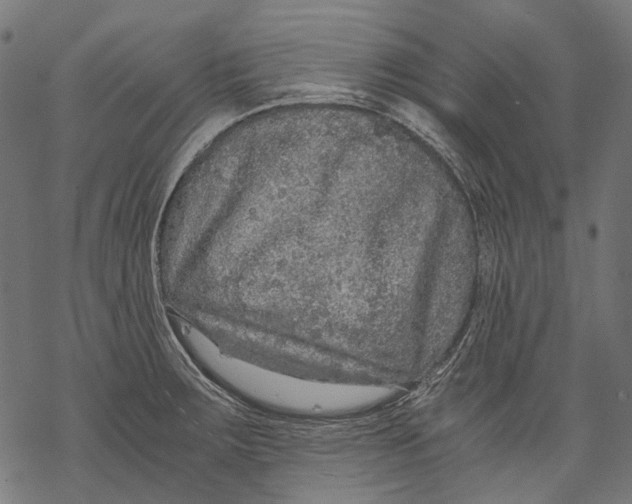 X0000068811283200605261516