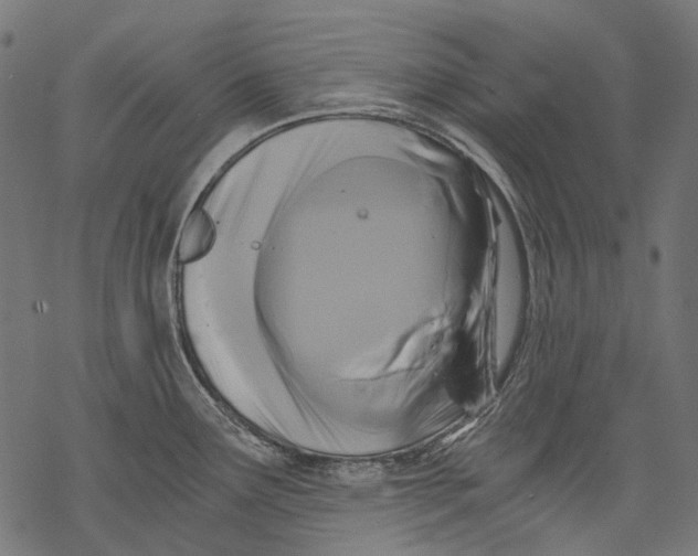 X0000068811291200605261516