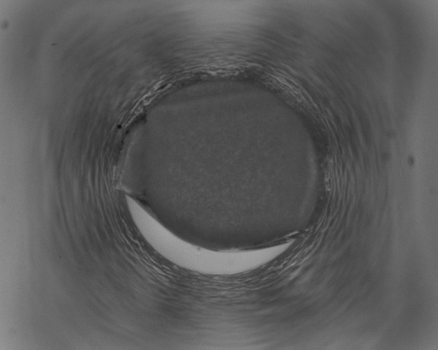 X0000068811298200605261515