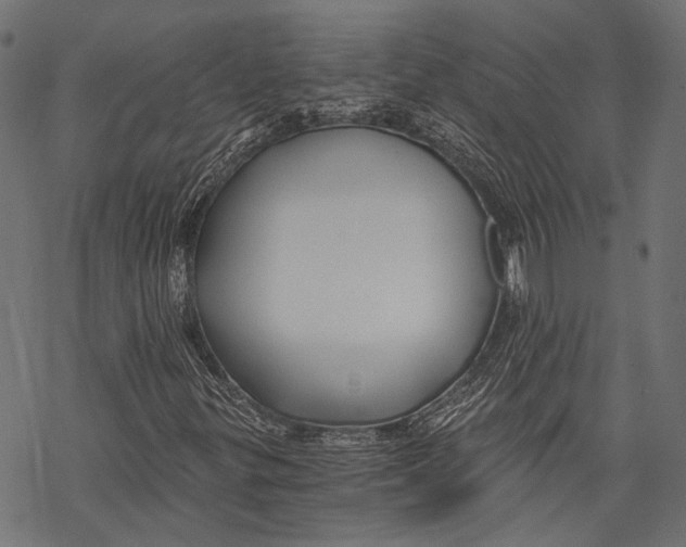 X0000068811299200605261515