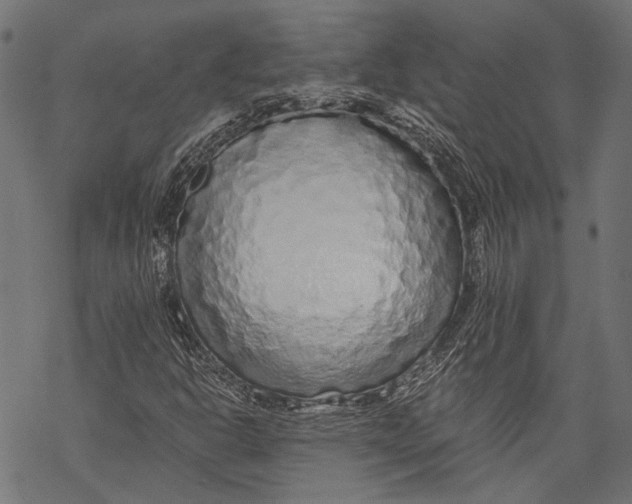 X0000068811302200605261515