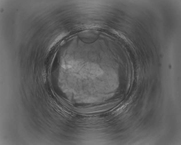 X0000068811306200605261515