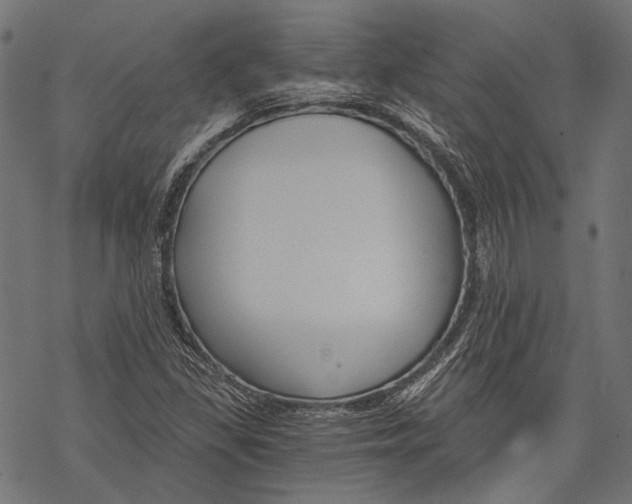 X0000068811309200605261516