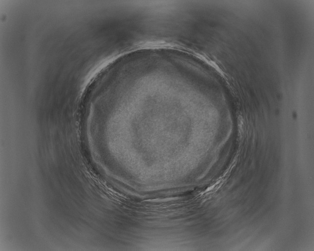 X0000068811311200605261516