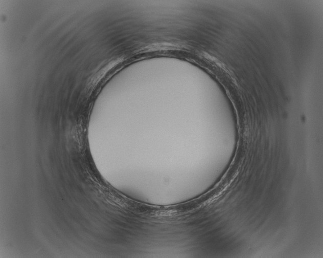 X0000068811313200605261516