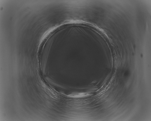 X0000068811319200605261516