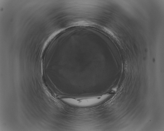 X0000068811323200605261516