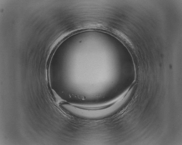 X0000068811324200605261516