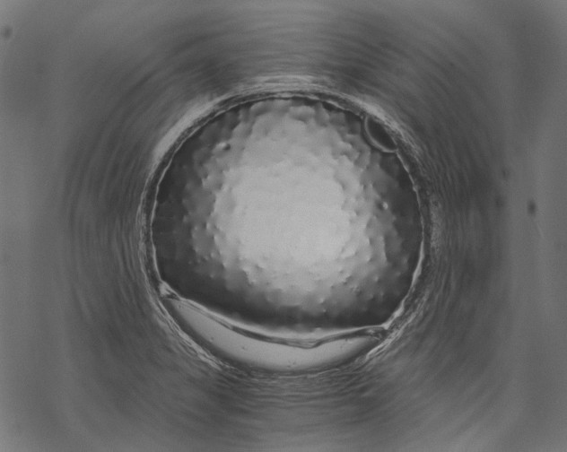 X0000068811325200605261516
