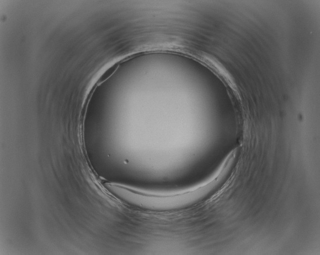 X0000068811340200605261516