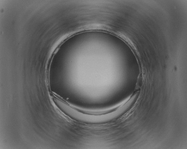 X0000068811342200605261516