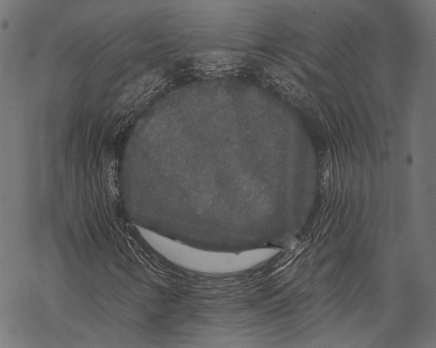 X0000068811346200605261515