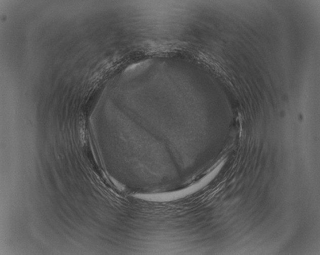 X0000068811348200605261515