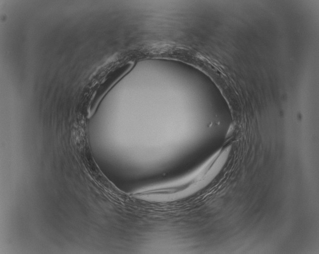 X0000068811349200605261515